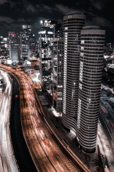 מגדלי הצעירים